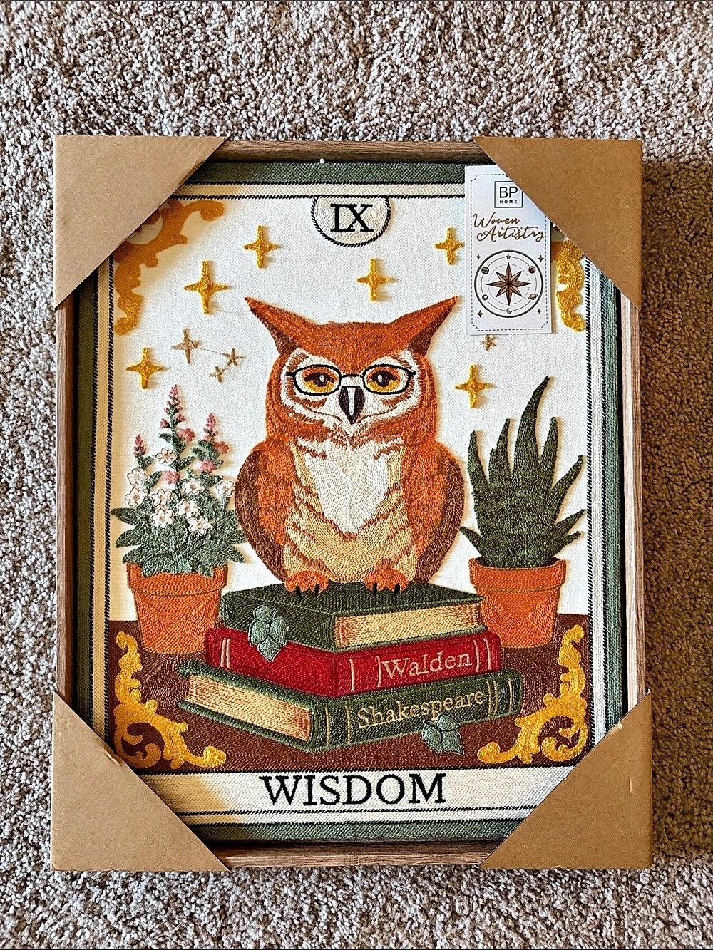 BP Home Wisdom Owl Fiber Art Wall Decor NWT